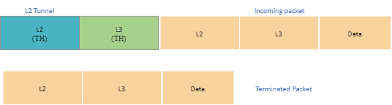 L2 tunnel termination L2 tunnel termination